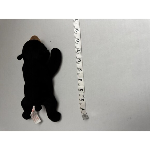 Ty Beanie Baby Blackie The Bear Plush Toy Tagless - Picture 4 of 5